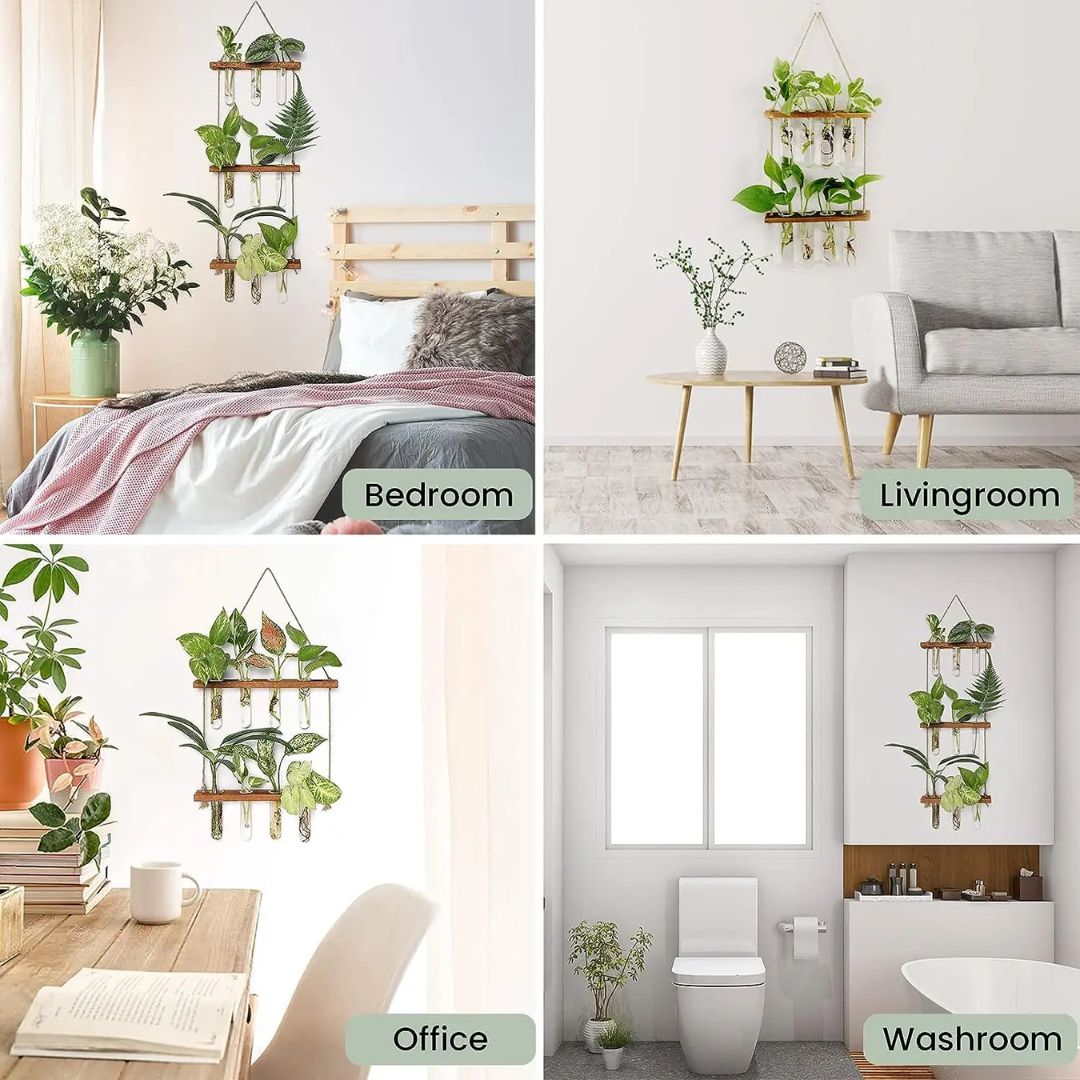 GreenVibe – Instantly Transform Walls into Lush, Vibrant Art