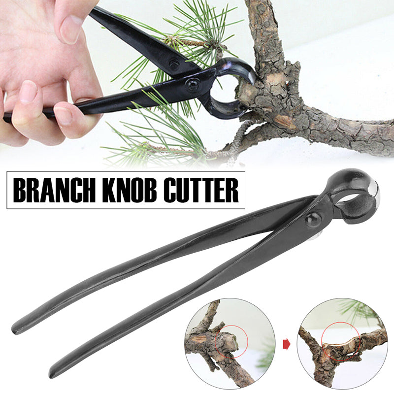 BonsaiEdge – Perfect Precision Cuts for Healthy, Beautiful Bonsai
