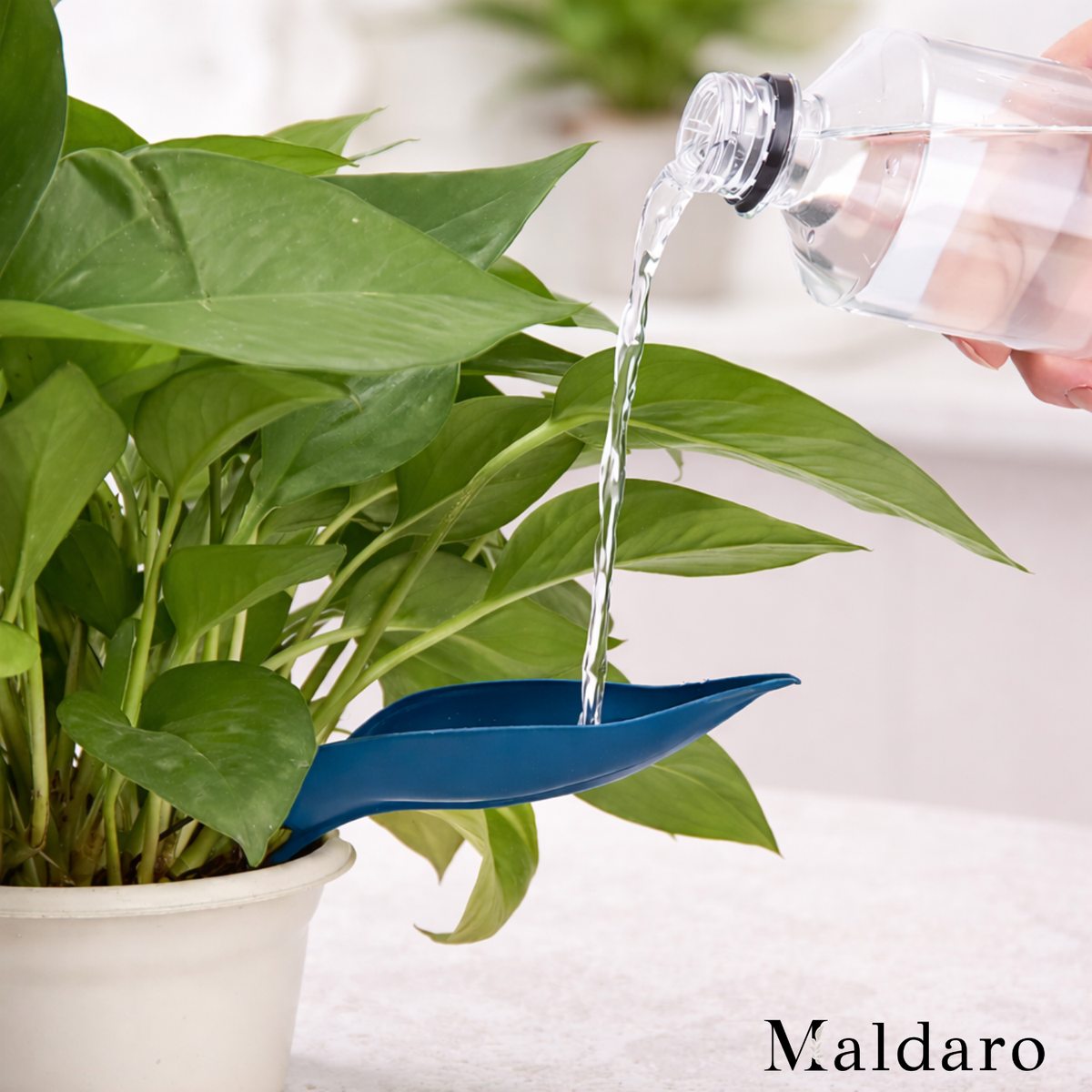 2+1 FREE | WateringLeave - Clean aquatic plants without spilling or mess, every time