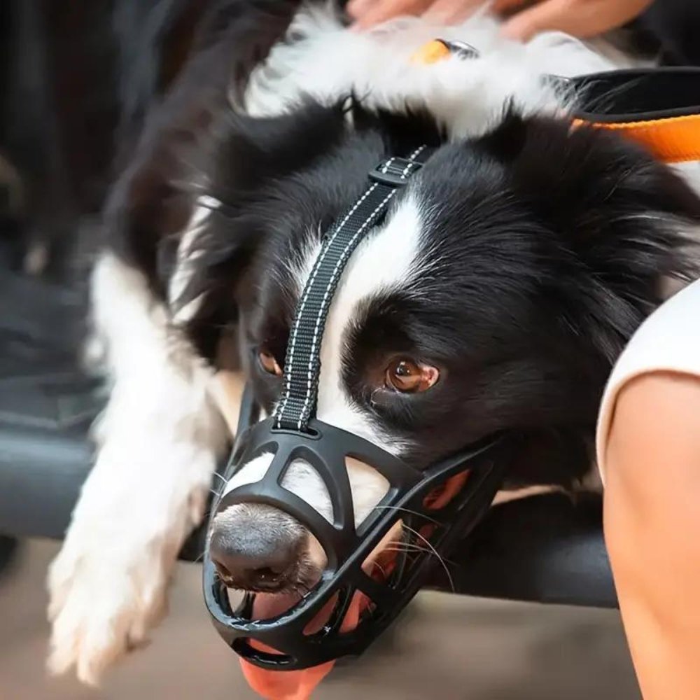 BarkGuard - Instantly Calms Dogs, Stops Safe Biting and Barking