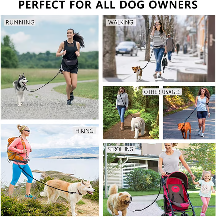 PawsFree Pro – Stress-Free Walks with Your Dog