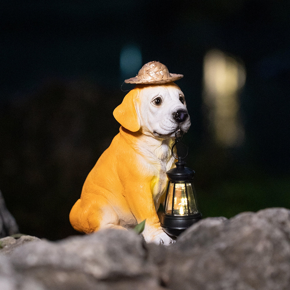 LumaPup – Illuminate Your Garden with Lifelong Solar Magic