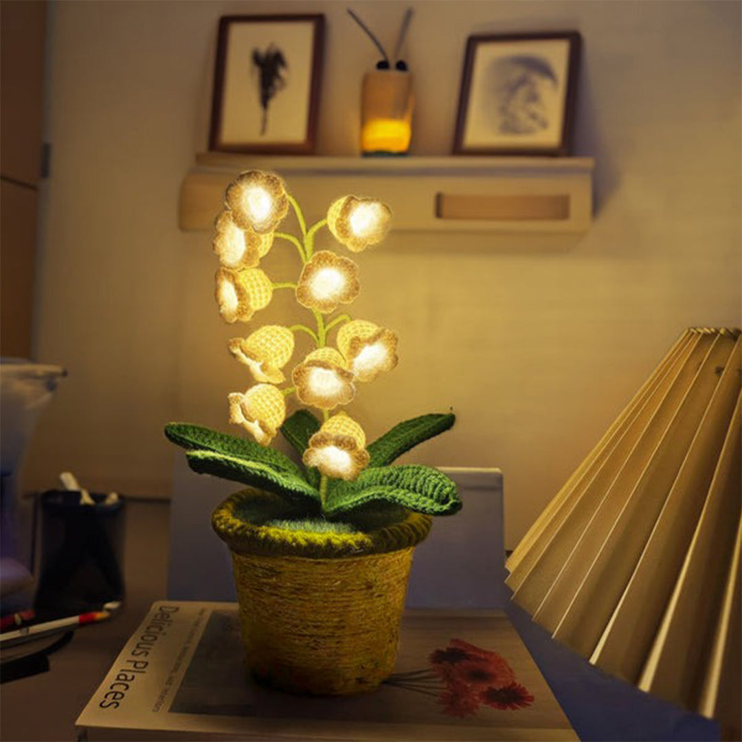 LilyBloom - Eternal Glow and Cozy Comfort All Night Long