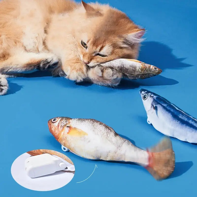 PurrMotion – The Fish That Really Wriggles