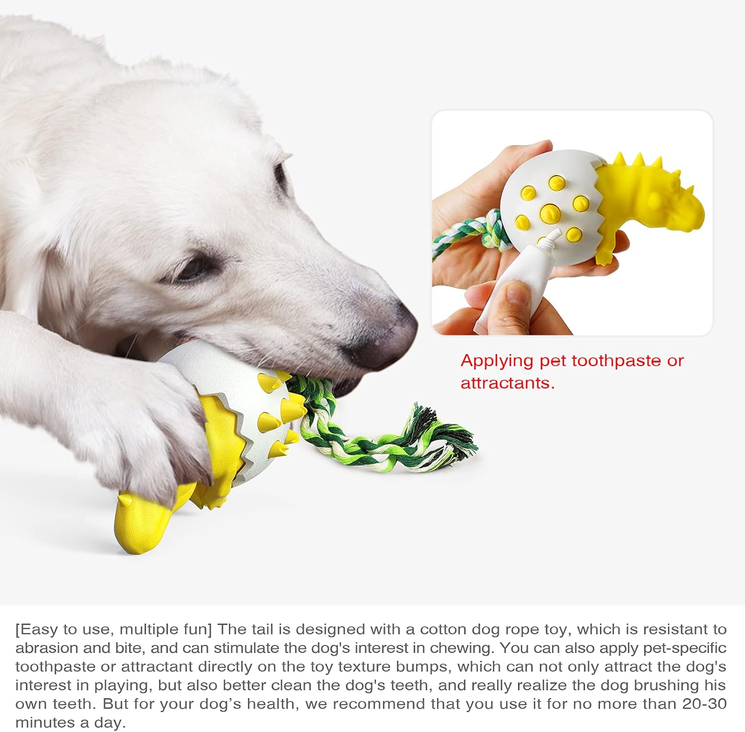 DinoEgg – The Indestructible Chew Egg for Healthy Dog Teeth!