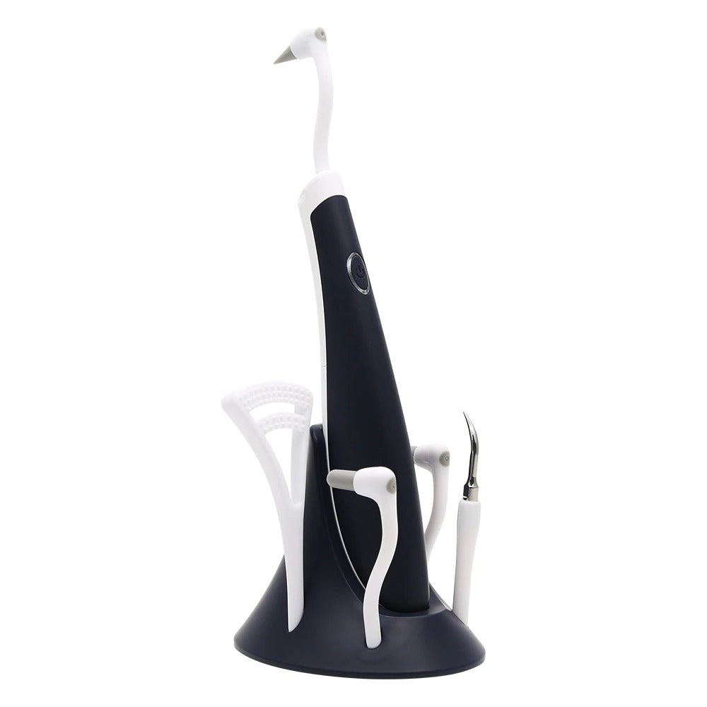 PlaqueBlast – 5-in-1 Professional Dental Care Device for a Healthy Smile!