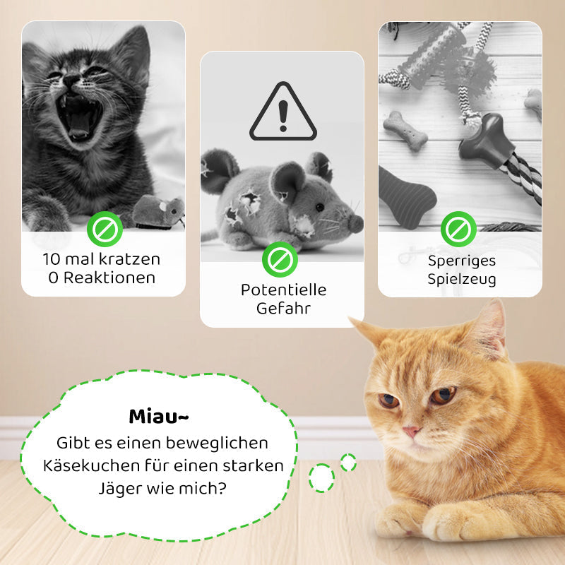 2+1 FREE | CatPlay – Chase, play, cheer – fun for your cat!