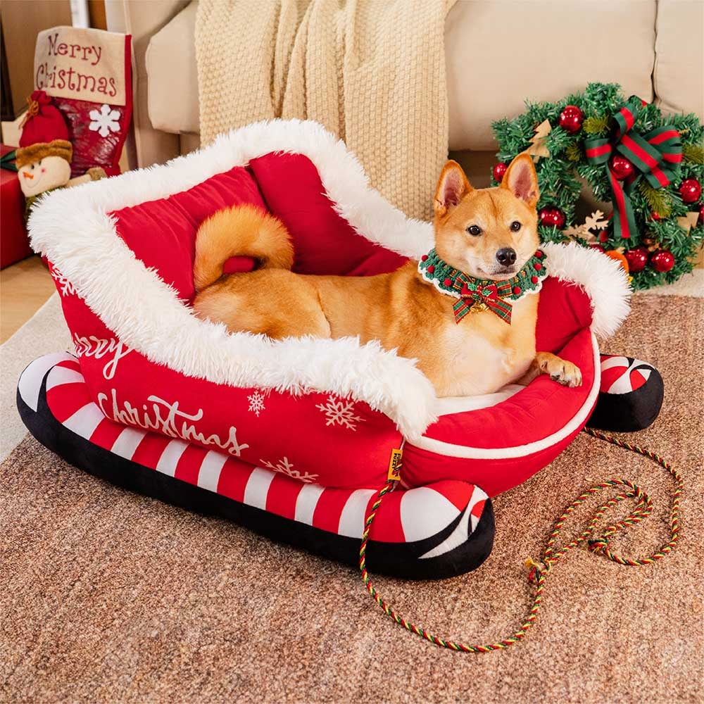 PawSleigh – The Festive Dog Bed for Dreamy Winter Days