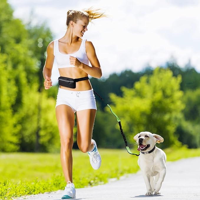 PawsFree Pro – Stress-Free Walks with Your Dog