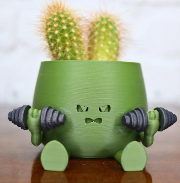 BloomBuddy – Smiling Plants, Happy Home