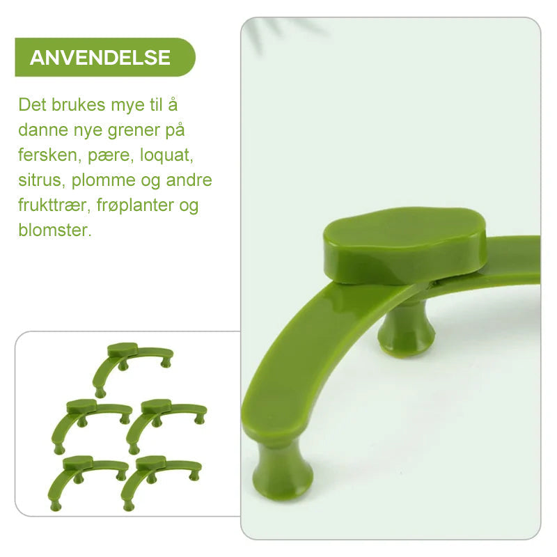 2+3 FREE | PlantHeld - Keep plants strong, upright, and healthy daily