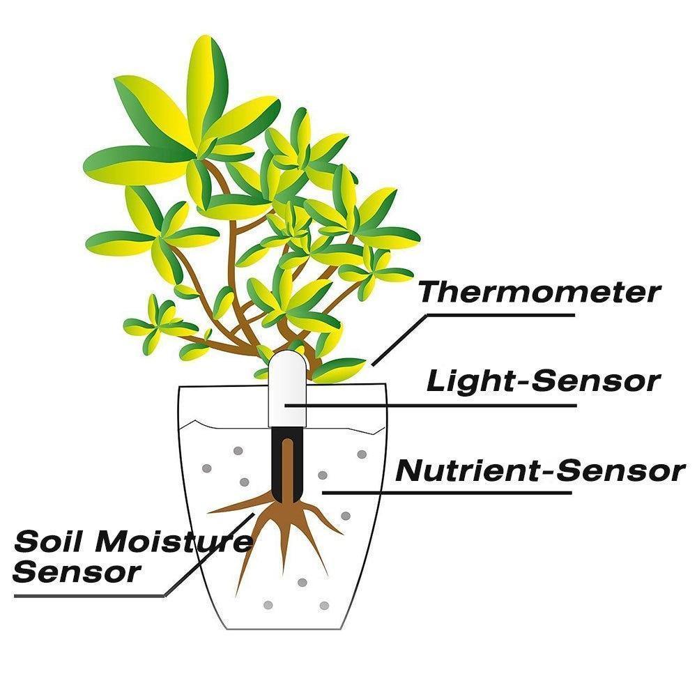 PlantSense – Overwatering or underwatering your plants is a thing of the past