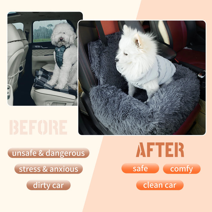 CarPaw – Travel safely and relaxed with your dog!
