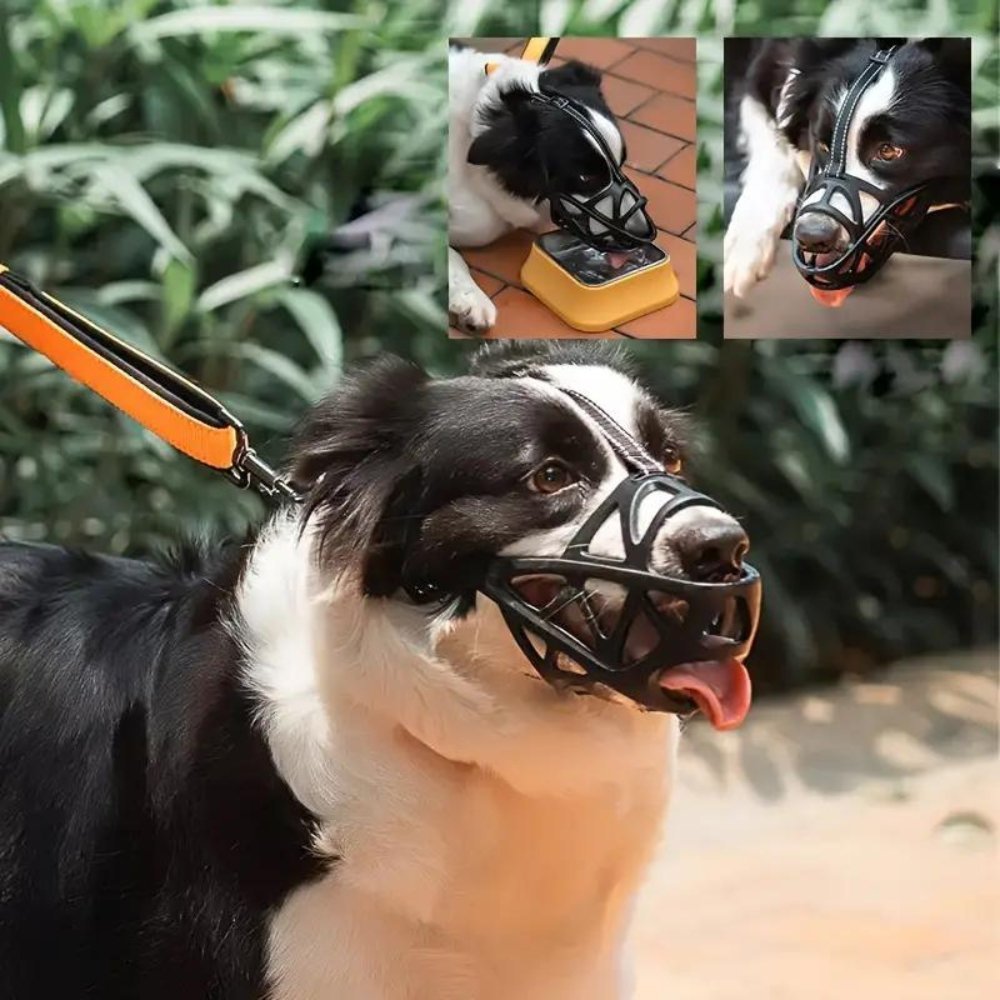BarkGuard - Instantly Calms Dogs, Stops Safe Biting and Barking