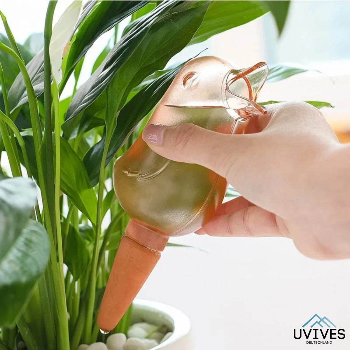 2+1 FREE | BloomFeeder - Automatic Plant Waterer