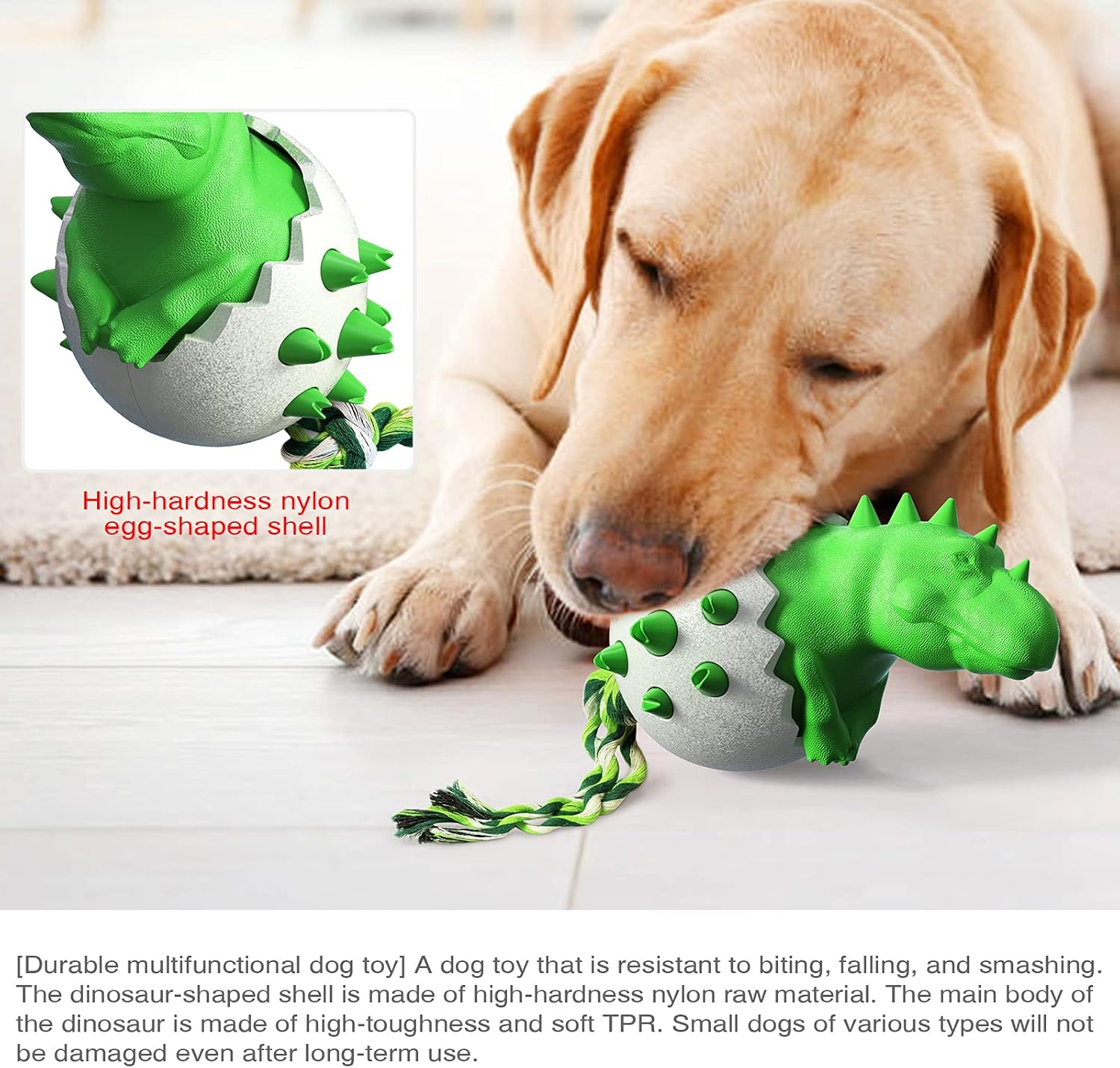 DinoEgg – The Indestructible Chew Egg for Healthy Dog Teeth!