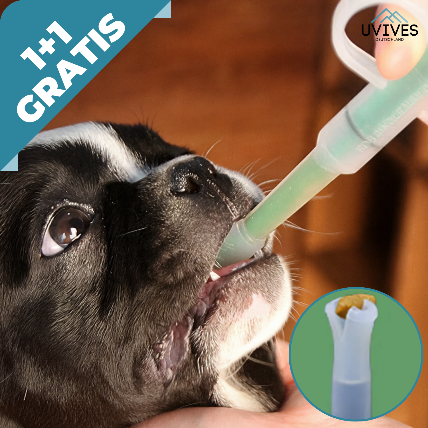 1+1 FREE | PetFeeder Pro – Stress-Free Medication Delivery for Pets!