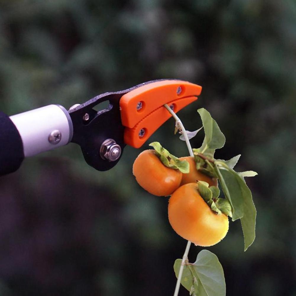 BranchMaster – Easily Reach and Cut High Branches Safely