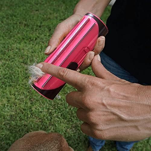 PetCare – For shiny fur & happy pets!