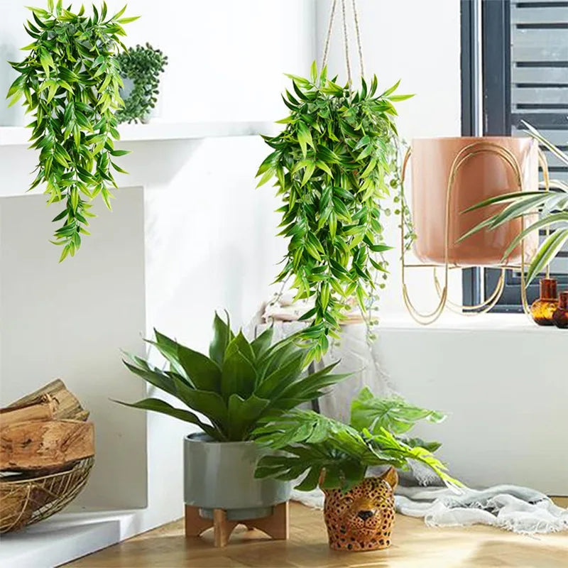 BambooLush – Living Green Without Water