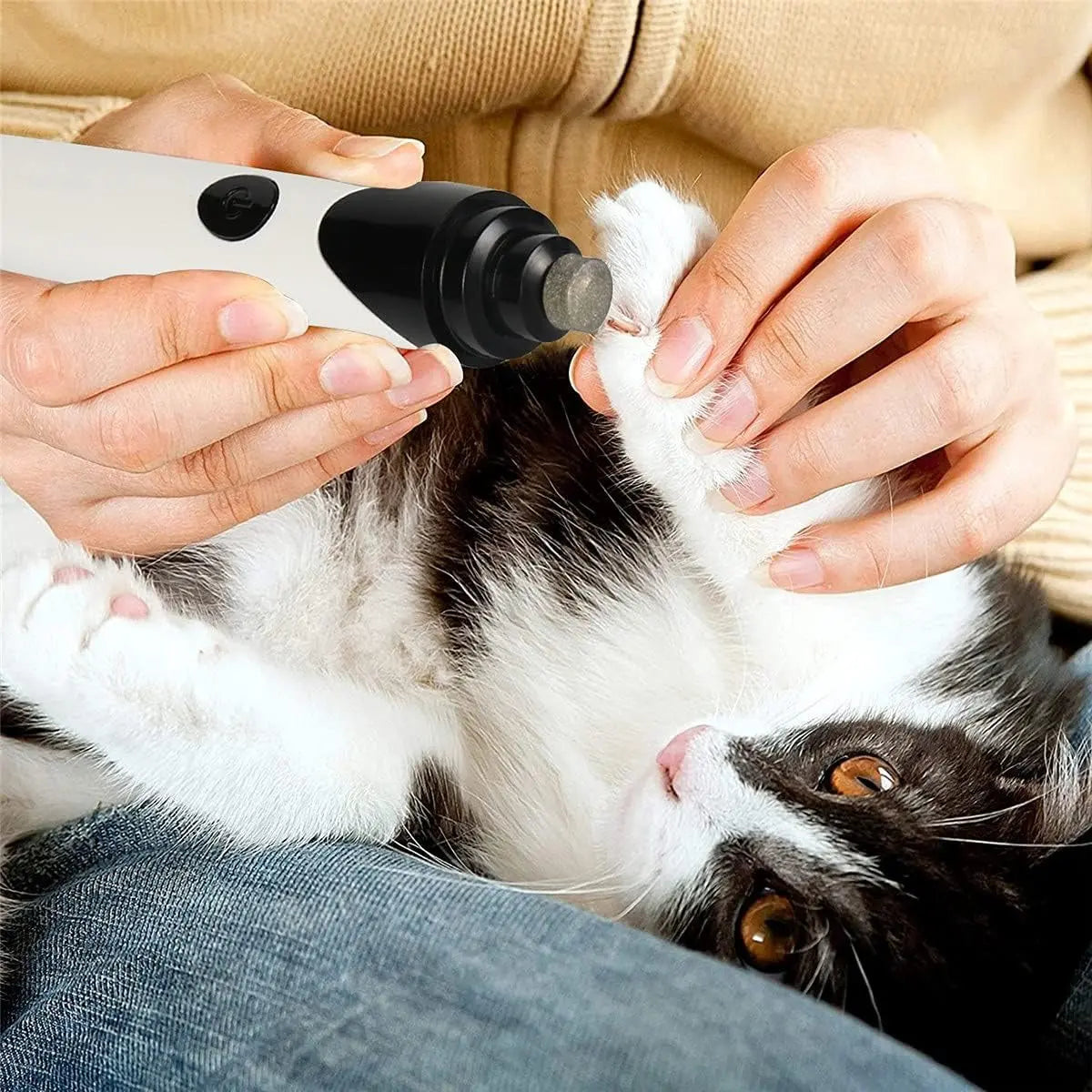 ManiPet – Gentle Paw Care Without Stress