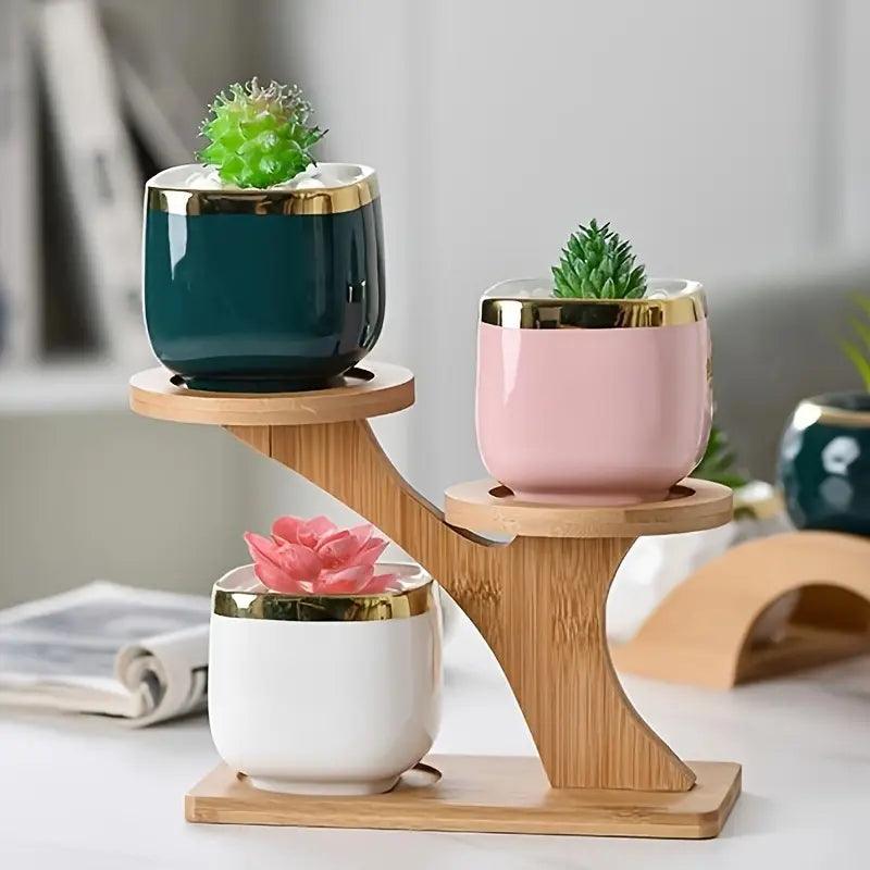 EcoBamboo - Organize and Display Your Plants Stylishly and Instantly