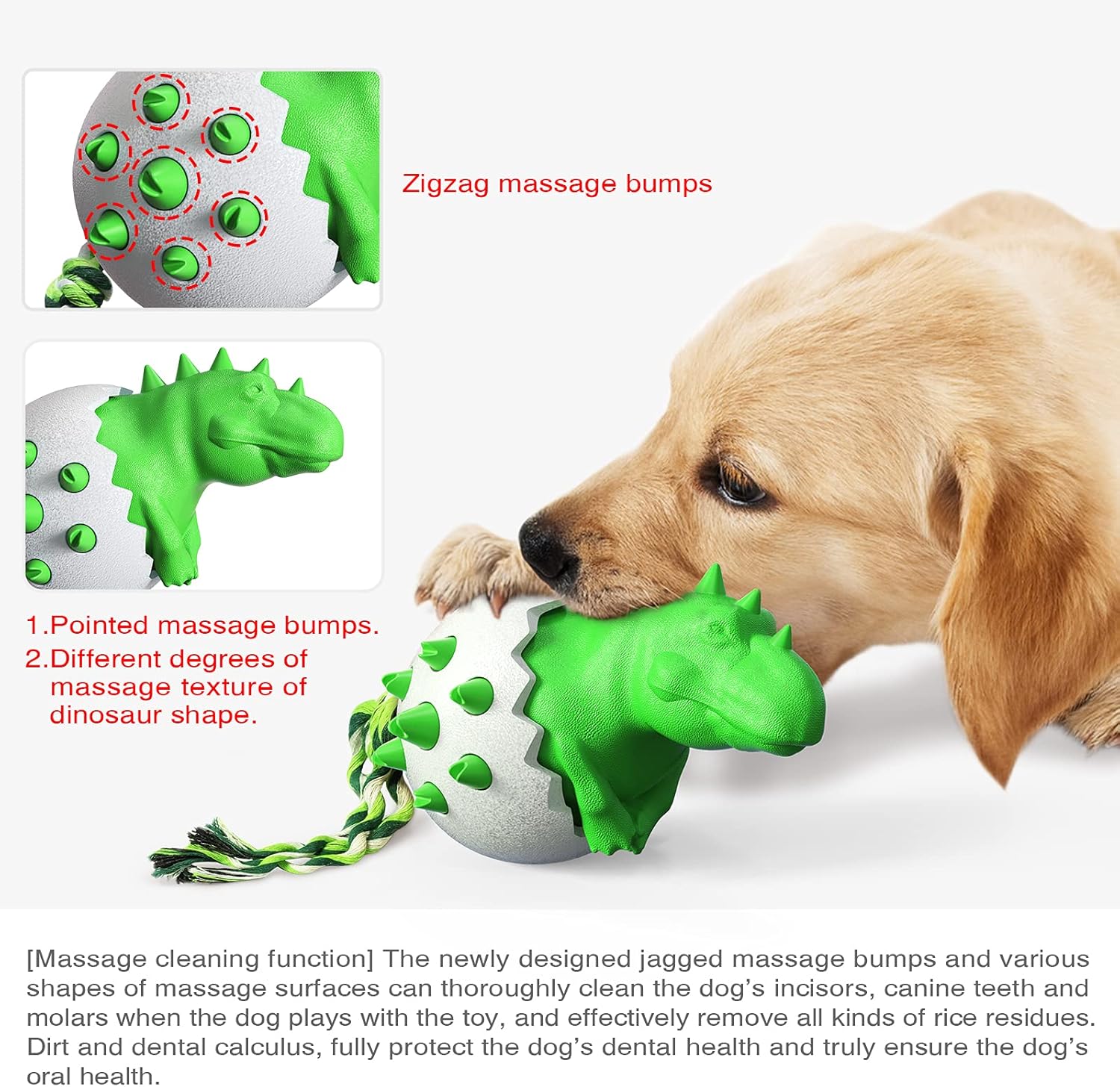 DinoEgg – The Indestructible Chew Egg for Healthy Dog Teeth!