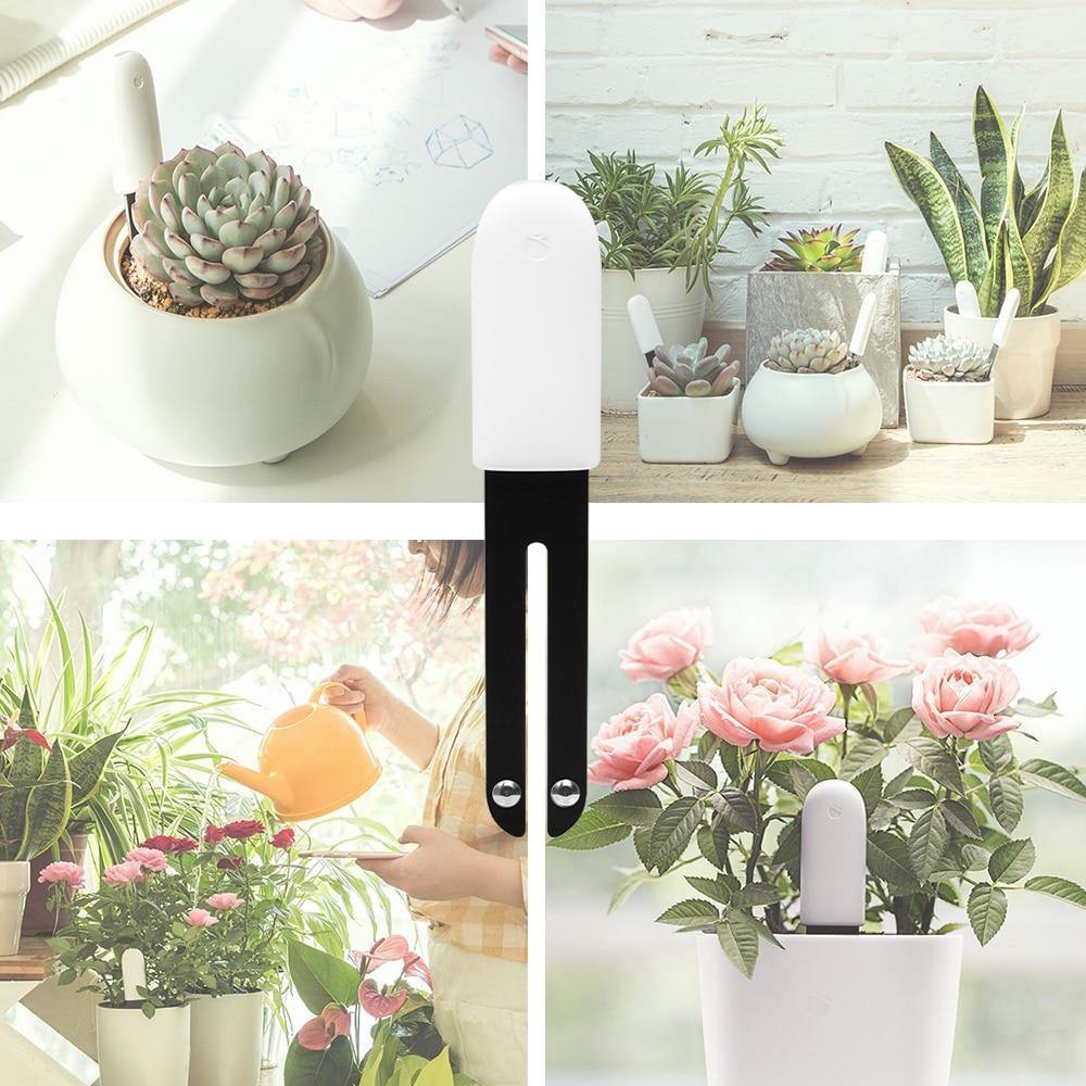 PlantSense – Overwatering or underwatering your plants is a thing of the past