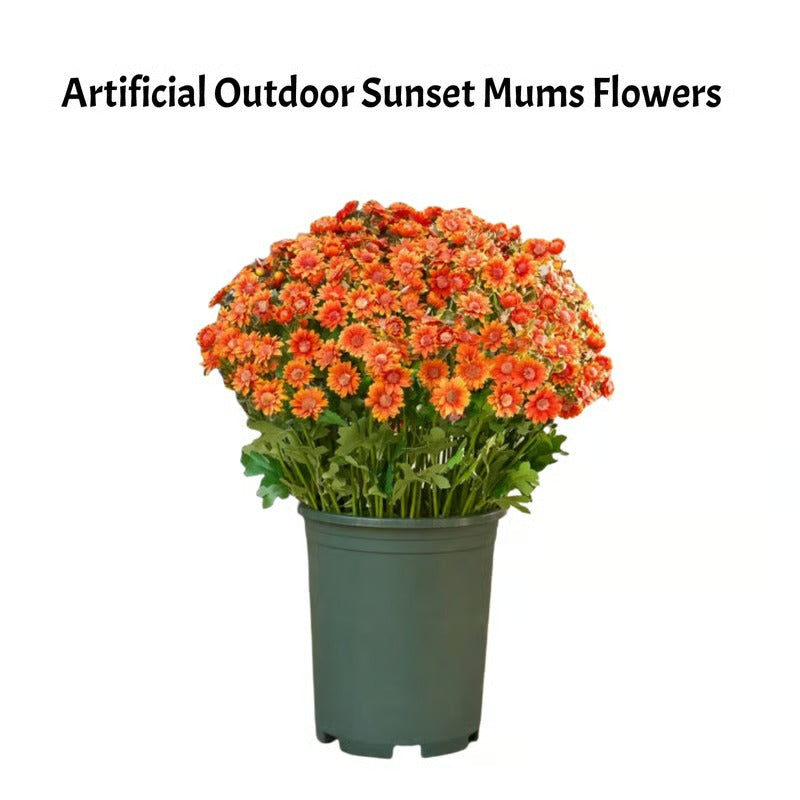 AutumnBloom – Lasting Autumn Splendor Without Maintenance!