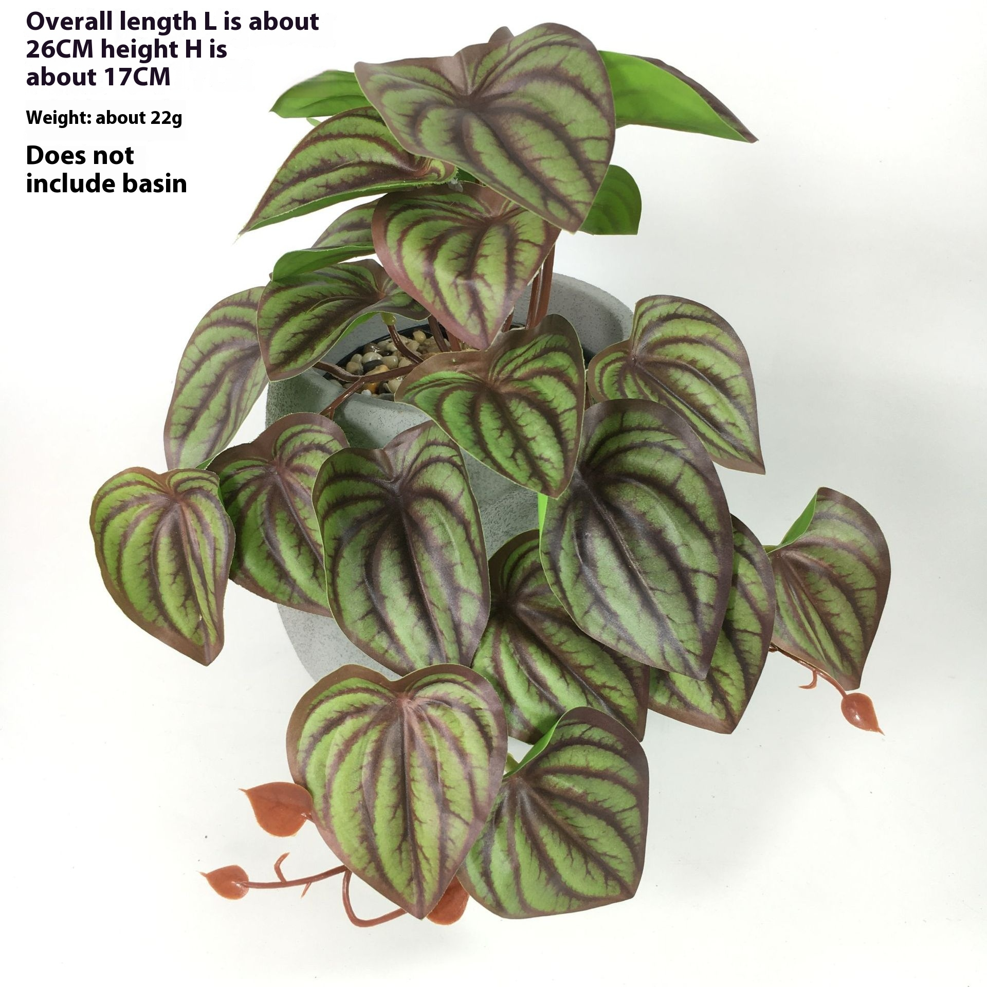 EverLush – Instant Realistic Greening Without Maintenance Effort – Maldaro