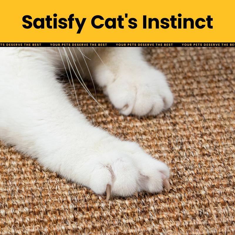 ClawGuard – Natural Claw Care, Furniture Remains Intact!