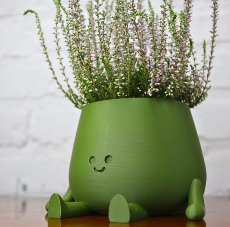 BloomBuddy – Smiling Plants, Happy Home