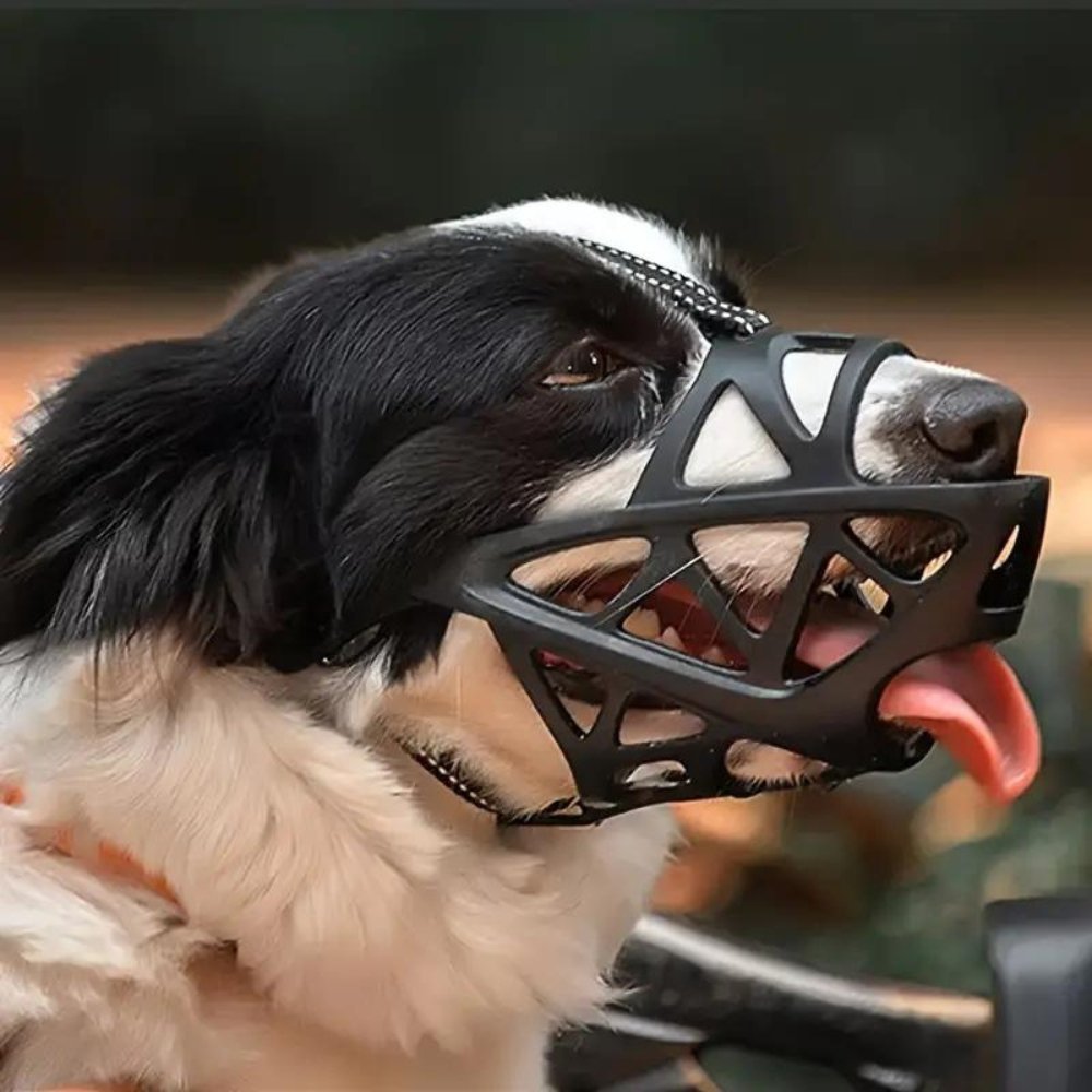 BarkGuard - Instantly Calms Dogs, Stops Safe Biting and Barking