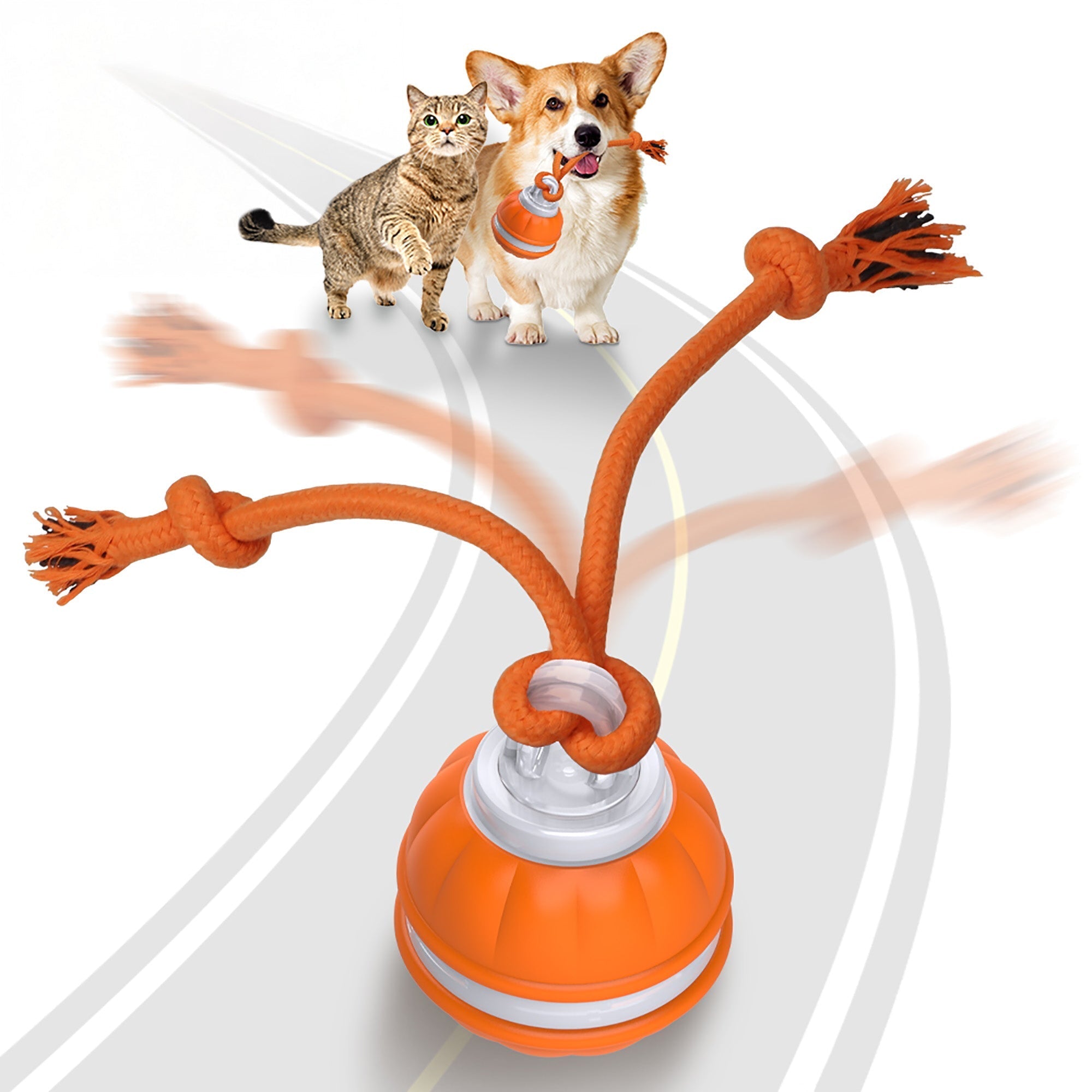 PawiBall – Finally a Happy & Well-Exercised Dog