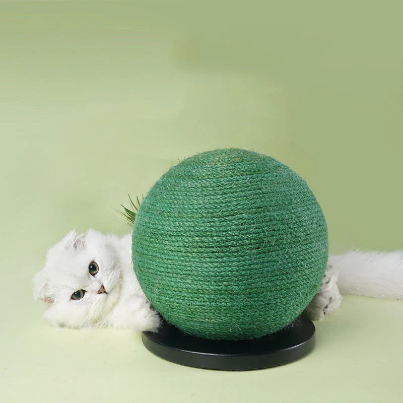 SafePaws - Create a Custom Safe Zone for Pets Anywhere