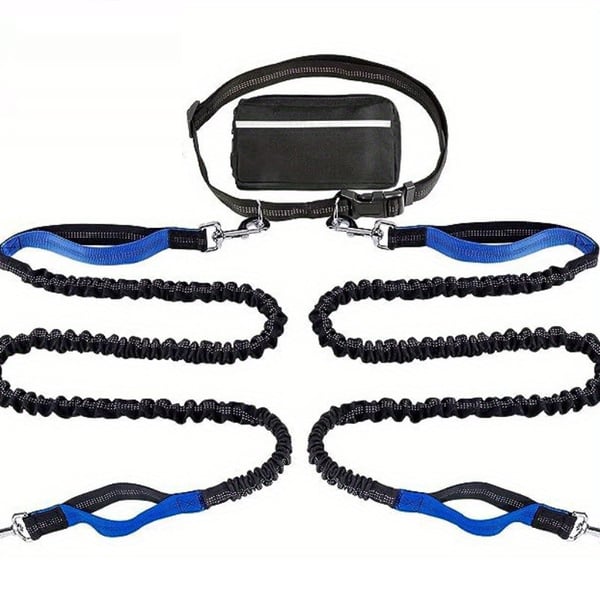 BestBuddy – Freedom & Control on Every Walk!