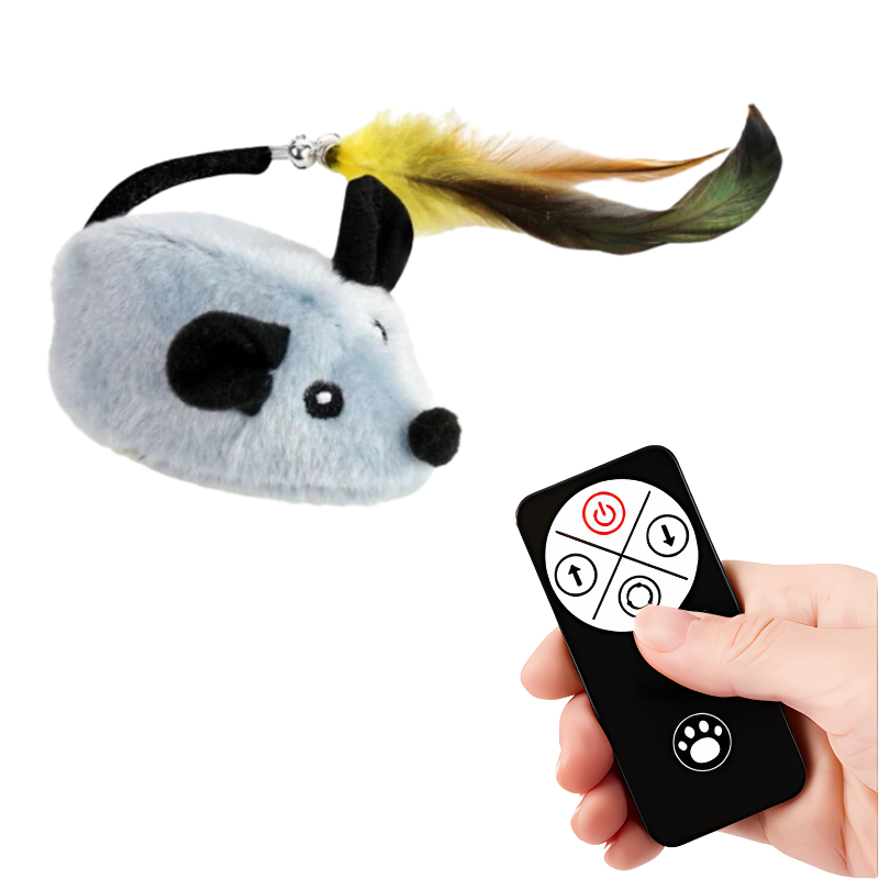 CatChase – The wild hunting fun for curious cats!