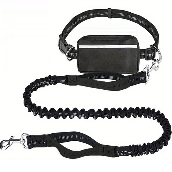 BestBuddy – Freedom & Control on Every Walk!