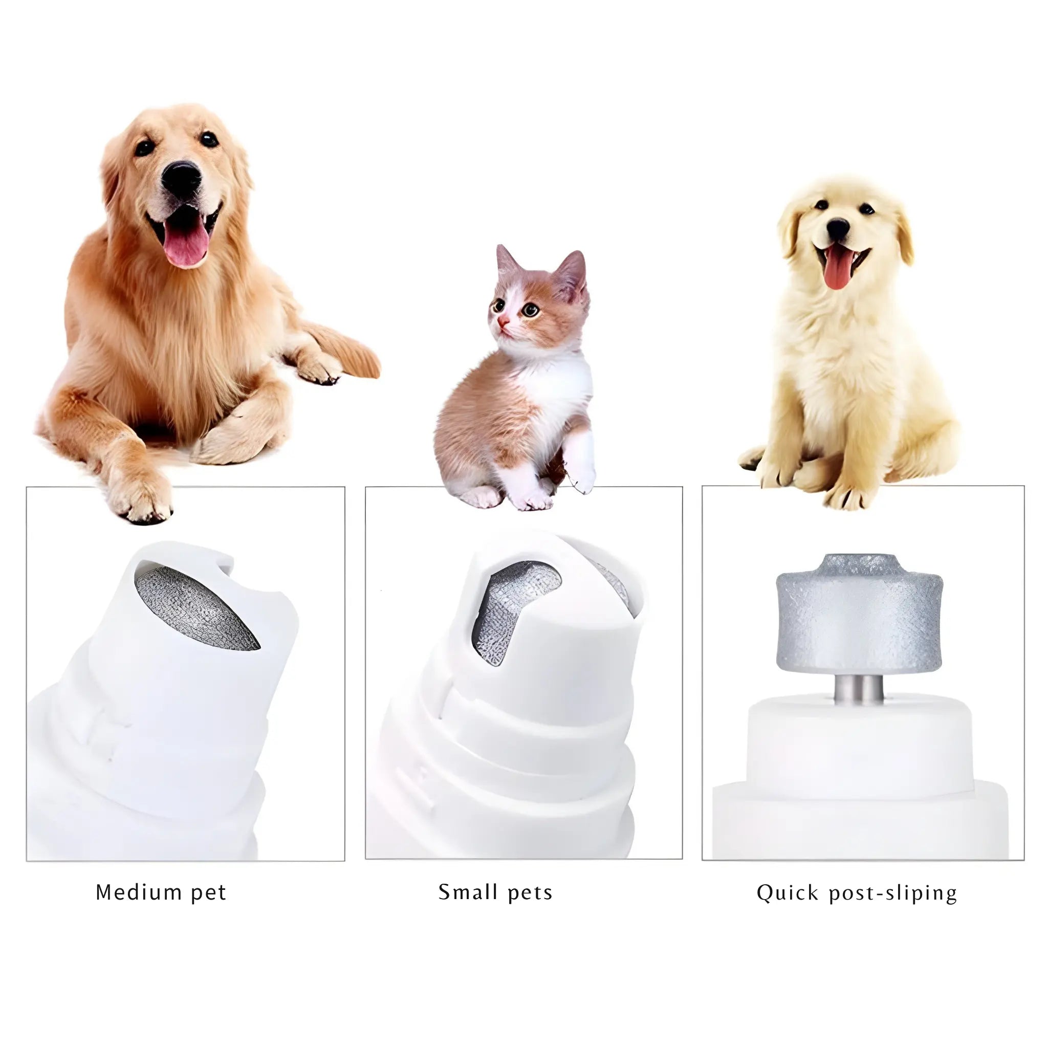 ManiPet – Gentle Paw Care Without Stress