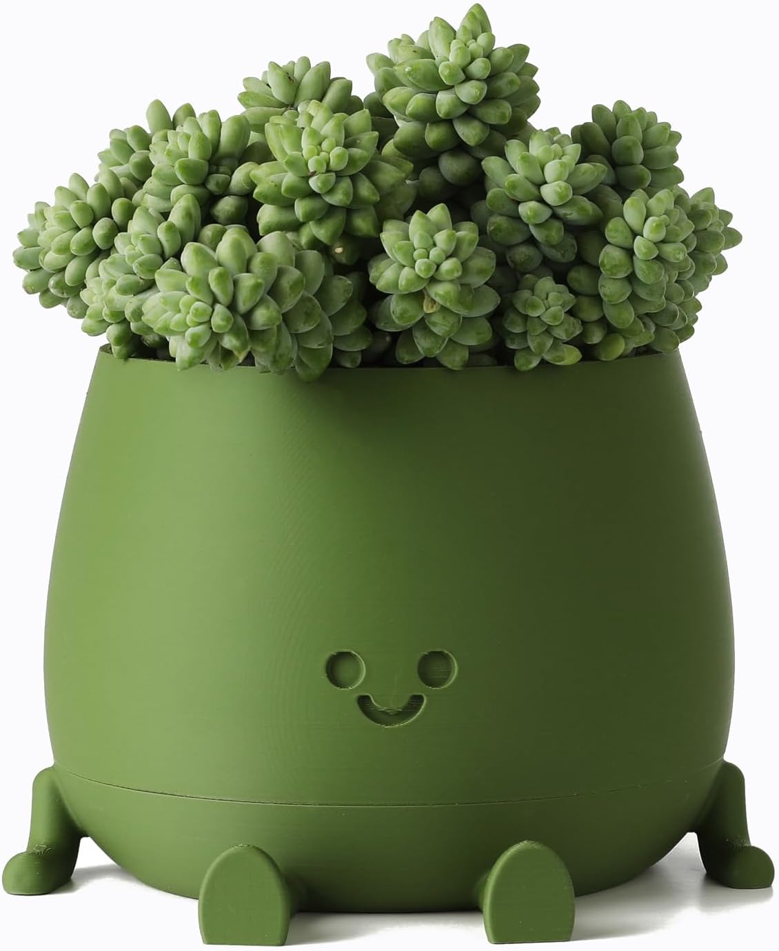 BloomBuddy – Smiling Plants, Happy Home