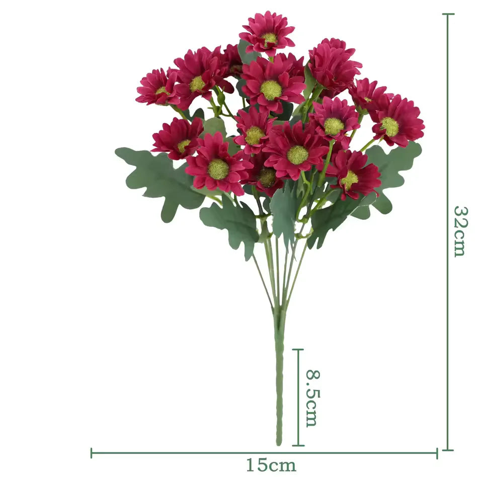 1+1 FREE | EverDaisies – Radiant Beauty That Never Fades!