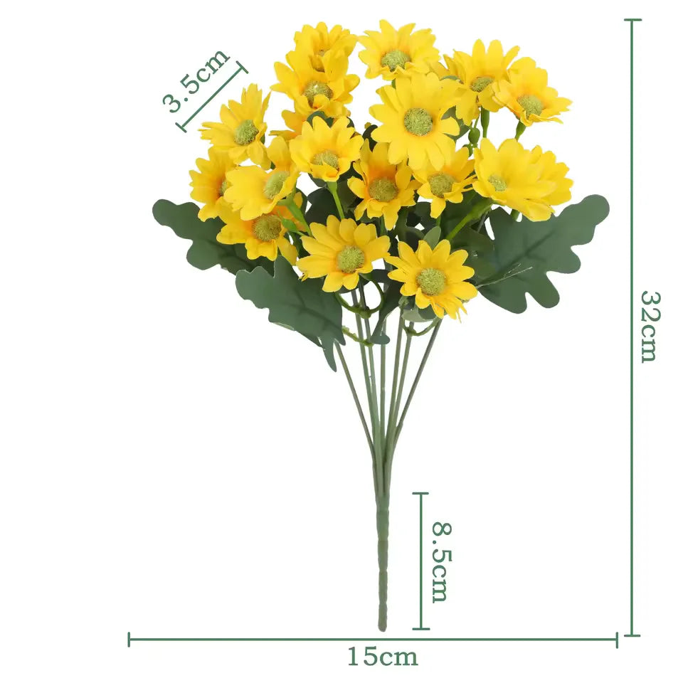 1+1 FREE | EverDaisies – Radiant Beauty That Never Fades!