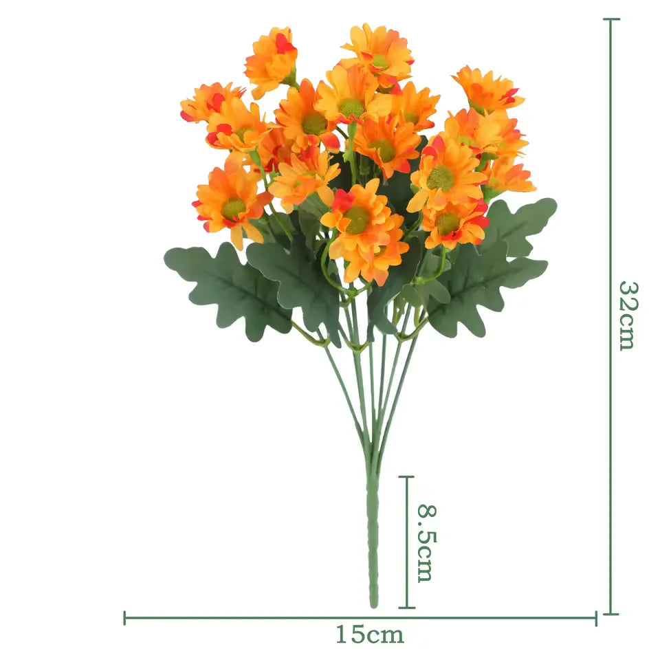 1+1 FREE | EverDaisies – Radiant Beauty That Never Fades!