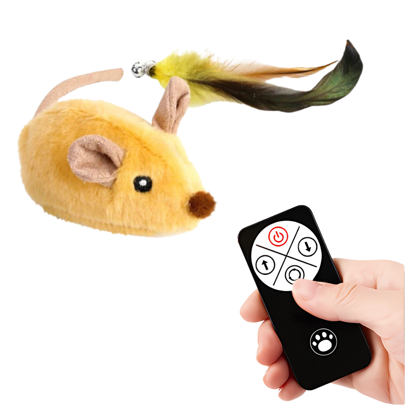 CatChase – The wild hunting fun for curious cats!