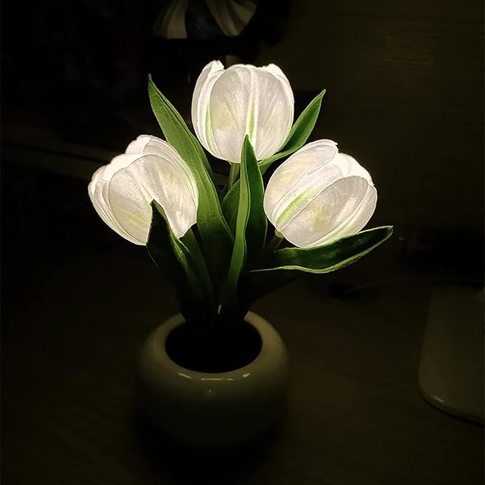 TulipFlair – Romance & Light in One