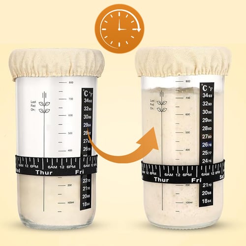 BakeMinder – Perfect Sourdough Breads Without Any Guesswork Every Time