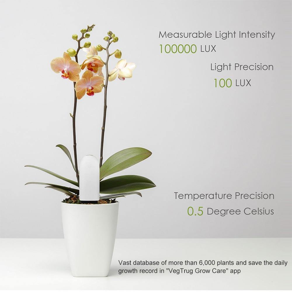 PlantSense – Overwatering or underwatering your plants is a thing of the past