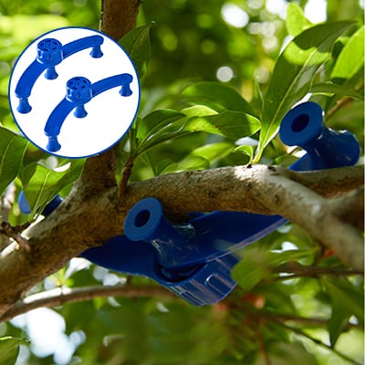2+3 FREE | PlantHeld - Keep plants strong, upright, and healthy daily