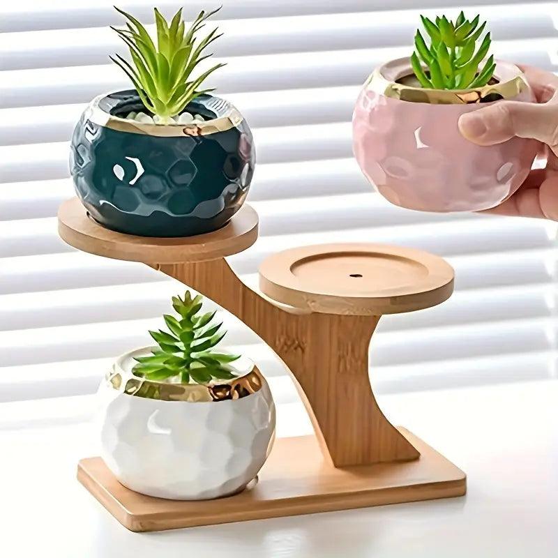 EcoBamboo - Organize and Display Your Plants Stylishly and Instantly