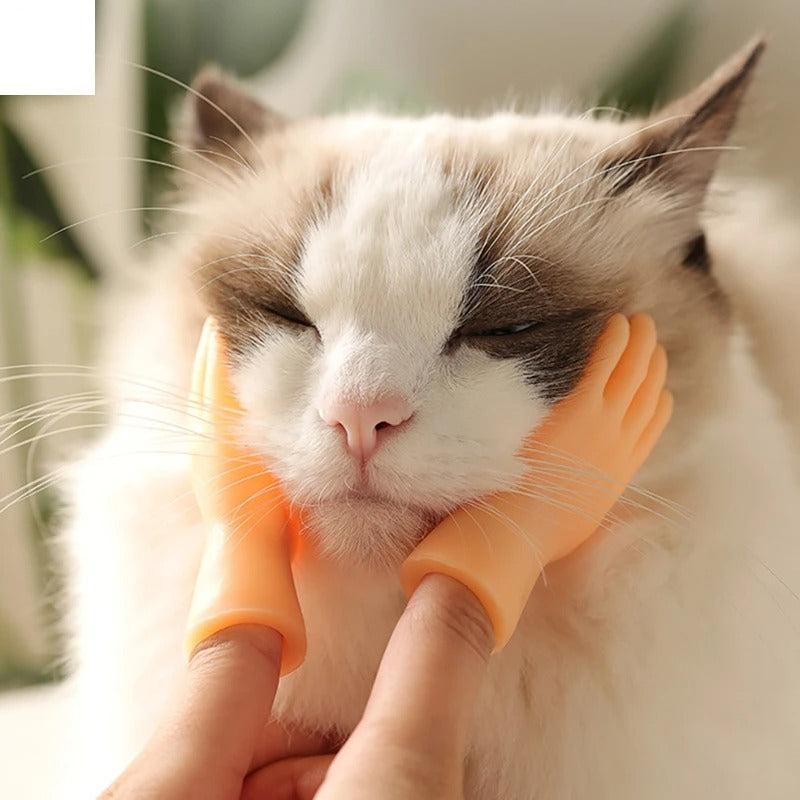 PawsTouch – The Toy Every Cat Instantly Loves